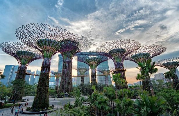 Private Singapore Night Tour with Gardens by the Bay&River Cruise