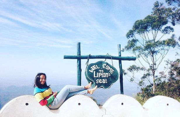 Day Excursion to Lipton Seat & Dambatenne Tea Factory from Ella