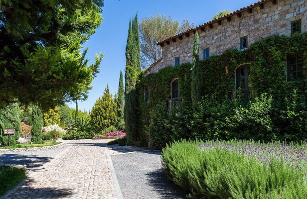 Vineyards, Wine Tasting and Pairing in San Miguel