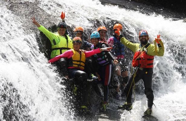 Half-Day El Yunque Rainforest Wilderness Adventure