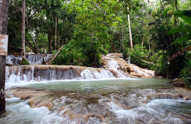 Private Tour to Dunn's River Falls From Ocho Rios