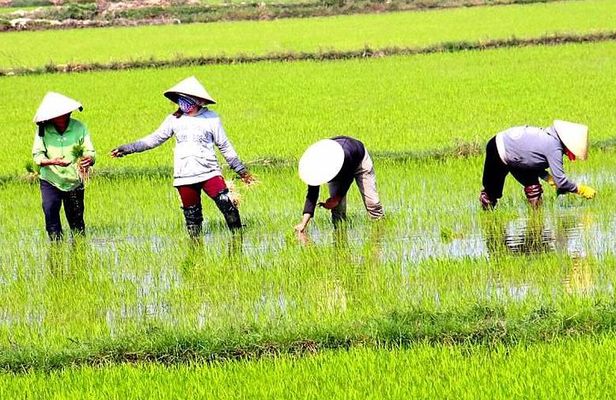 Private Full-day Mekong Tour From Ho Chi Minh City, Including River Cruise