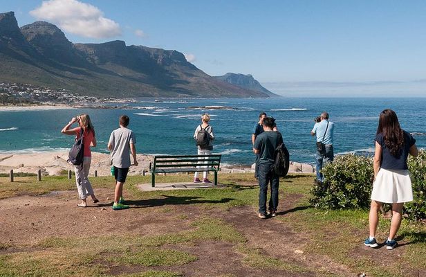 Cape Point Sightseeing Tour including Cape of Good Hope full day from Cape Town