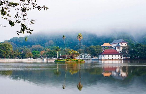 4 Days Tour To Kandy, Nuwara Eliya, Dambulla & Polonnaruwa