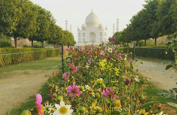 Private same day trip to Taj Mahal and Agra From Jaipur