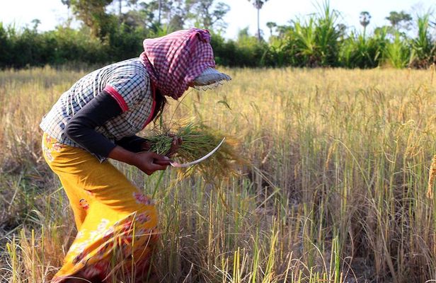 Siem Reap Countryside & Floating Village ( Meychrey)