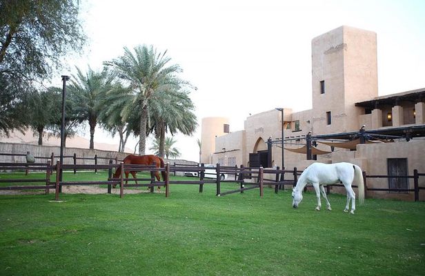 Horseback Riding in Dubai Desert with Transfers