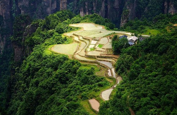 Private Day Trip to Zhangjiajie National Park-Off the Beaten Path