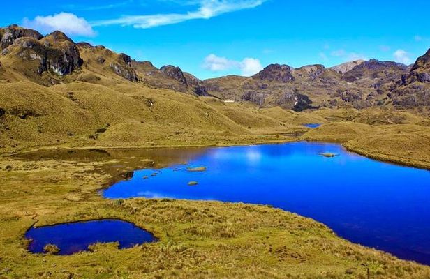 Private Cajas National Park Half-Day Tour from Cuenca
