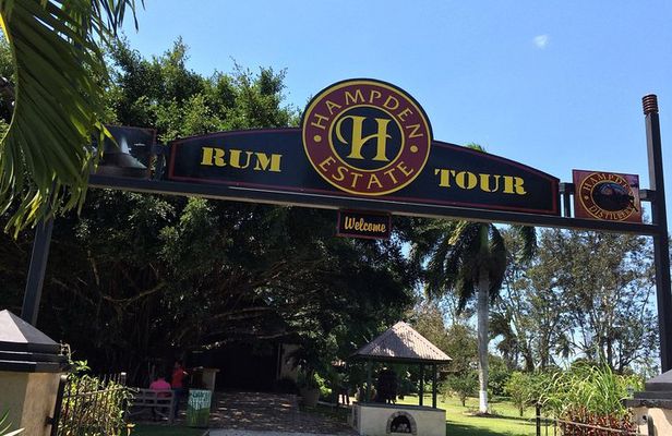 Hampden Estate Rum Tour and Lunch from Montego Bay