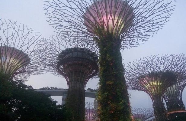 Private Full Day Singapore Highlights Tour