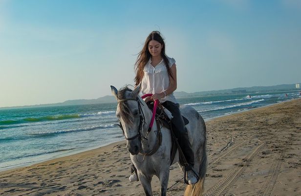 Horseback Riding Tour in Beach of Cartagena
