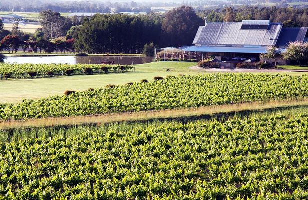 Hunter Valley Private Wine Tasting Tour from Sydney