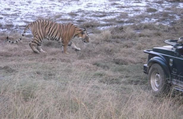Ranthambhore National Park