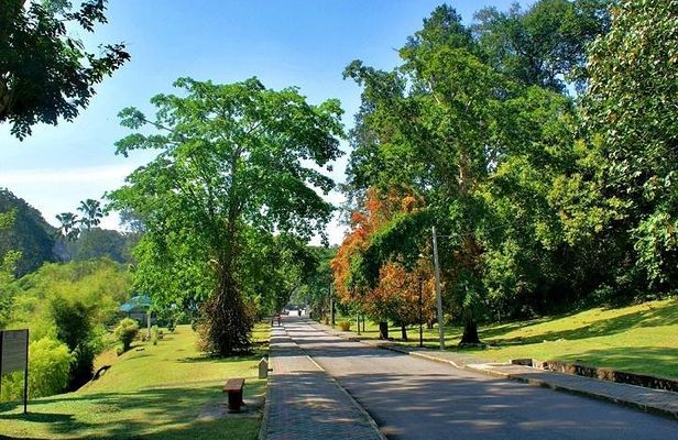 Private Tour: Full Day Center Penang Island Tour