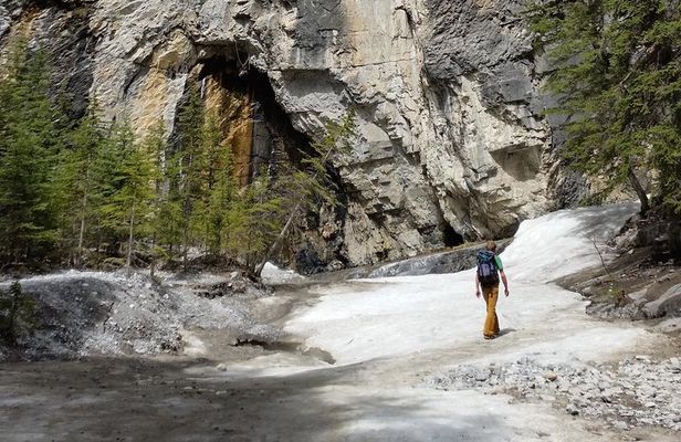 Half-Day Canadian Rockies Canyon Exploration