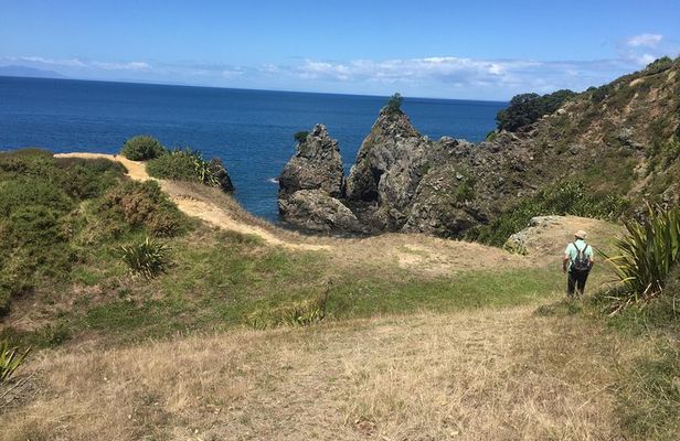 Stunning Auckland East Coast Walk & Wine Private Tour