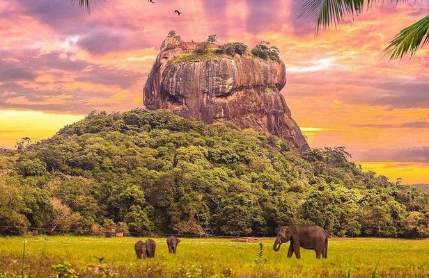  Kandy to Sigiriya Day Tour and Dambulla cave temple with private vehicle 