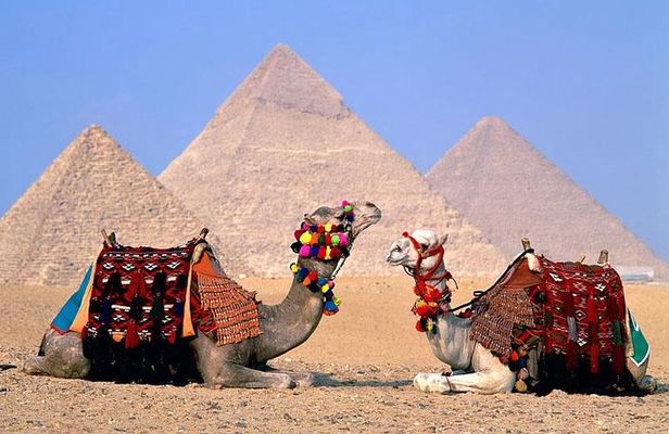 VIP Giza pyramids ,sphinx,Camel ride lunch and inside the pyramid