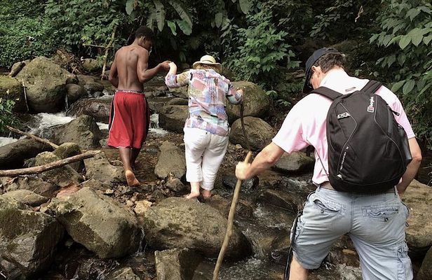 Grand Etang Rainforest Hike – Small-Group Grenada Nature Explorer
