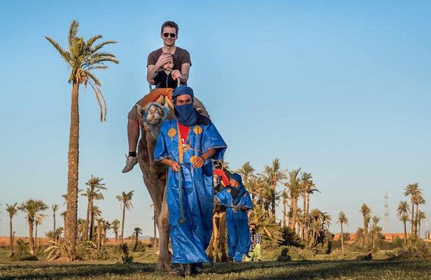Marrakech Quad Biking and Camel Riding Tour