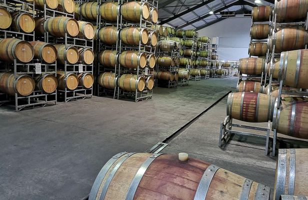Private Stellenbosch, Franschhoek Paarl Wine Tour from Cape Town