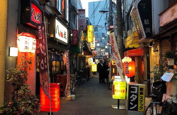 Private Tokyo Food Tour - Retro Akabane Izakaya Experience