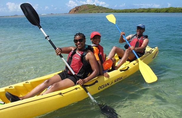 Best of Mangrove Lagoon Kayak, Hike and Snorkel Adventure with Picnic Lunch
