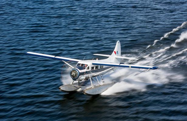 Mt. Tarawera Volcano Scenic Floatplane Tour from Rotorua