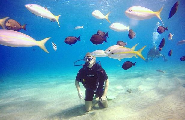 Discover Scuba Diving