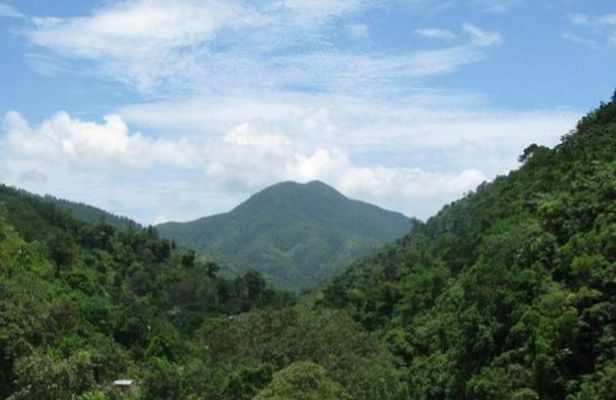 Blue Mountain Bicycle Tour from Runaway Bay