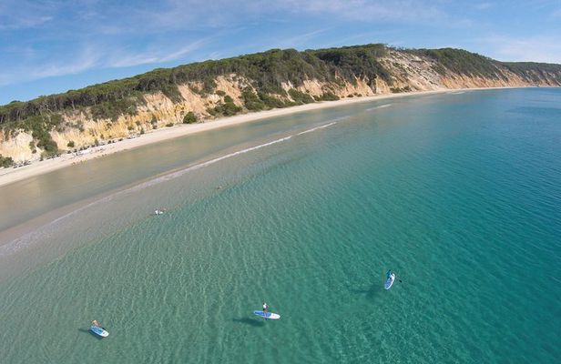 From Noosa: Stand Up Paddle Wildlife & Beach 4X4 Adventure