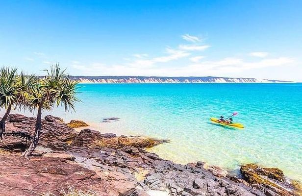 Private Double Island Point Wildlife Kayak or Surf Tour - Noosa