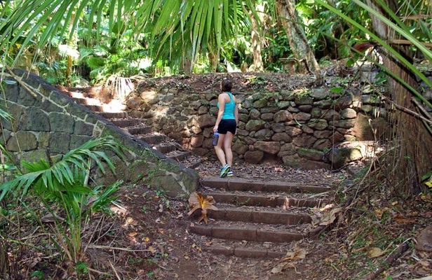 Ancient Oahu Circle Island Tour From Waikiki