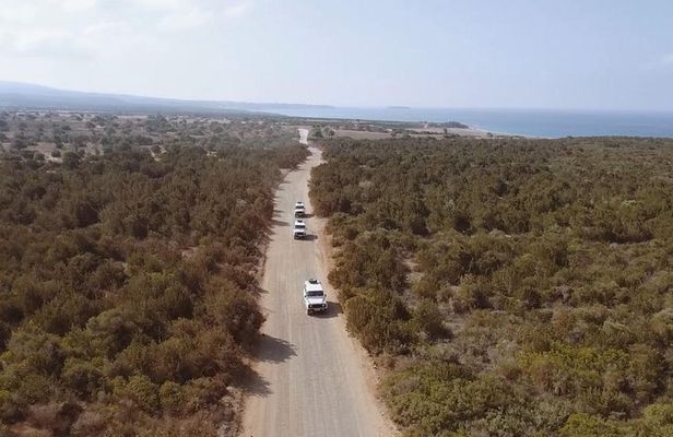 Half day Safari Tour to Akamas Peninsula from Paphos