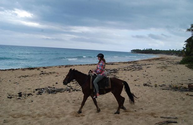 Punta Cana Horseback Riding on the Beach