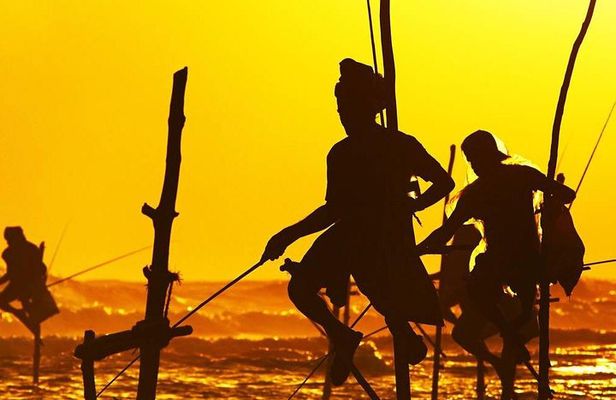 Family-Friendly Private Galle City Tour