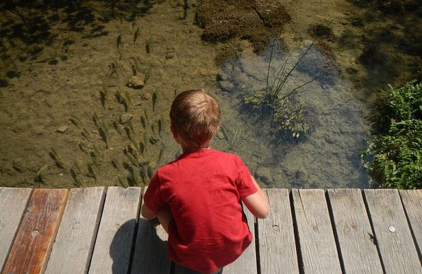 Day Trip from Dubrovnik to Krka waterfalls