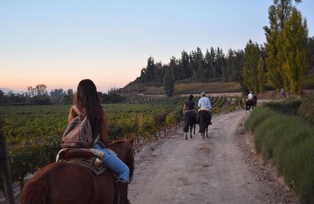 Horseback Private Wine Tour and Country Grill from Santiago
