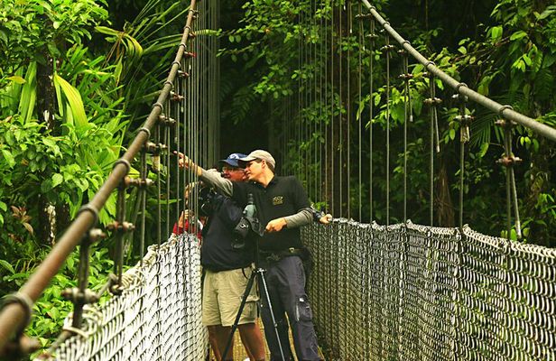 Arenal Hanging Bridges Nature Tour