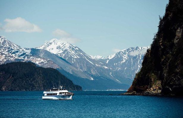 Half day Spring Resurrection Bay & Wildlife Tour from Seward