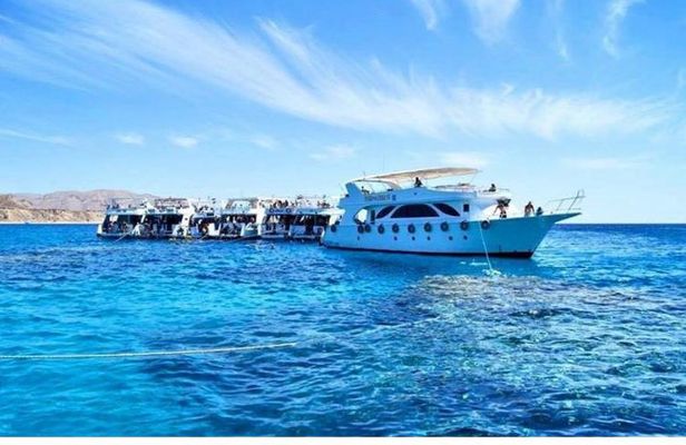 Boat Trip to Ras Mohamed & White island Red Sea & Snorkeling in Sharm elsheikh
