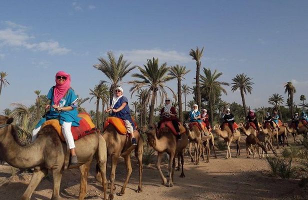 Experience Quad Bikes Camel Ride