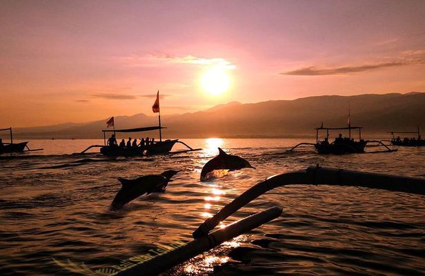 Dolphin Tour and Sunrise Watching in Lovina Beach - All Inclusive