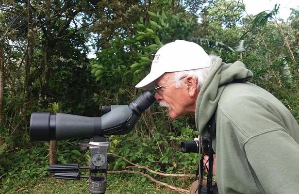 Monteverde Hanging Bridges Birdwatching Tour | Selvatura Park