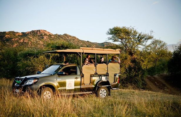 Full Day Ultimate Pilanesberg National Park Safari from Johannesburg or Pretoria