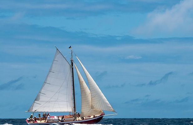 Little Bay Half-Day Sail & Snorkel Adventure