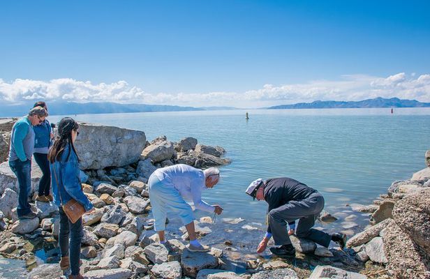 Great Salt Lake Guided Bus Tour from Salt Lake City