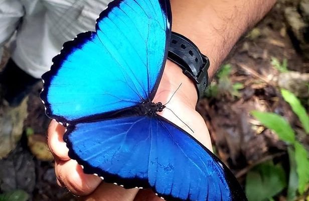 Ecuador Treasures Bucket List 8 Days Tour