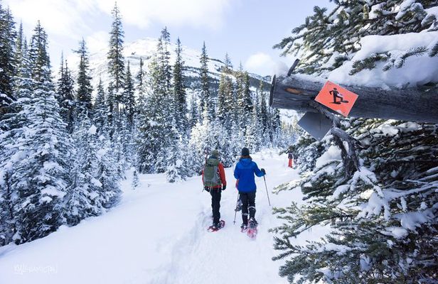 Snowshoeing in Kananaskis